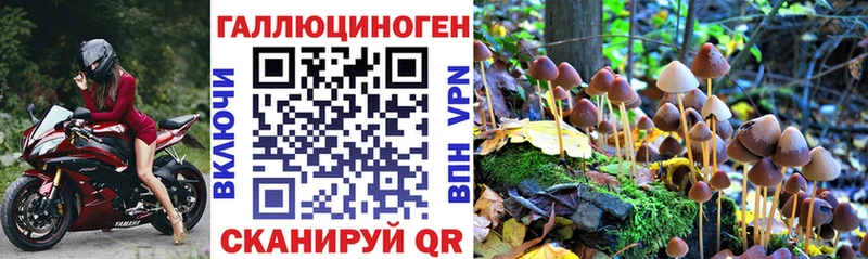 Галлюциногенные грибы Cubensis  darknet формула  Инта 